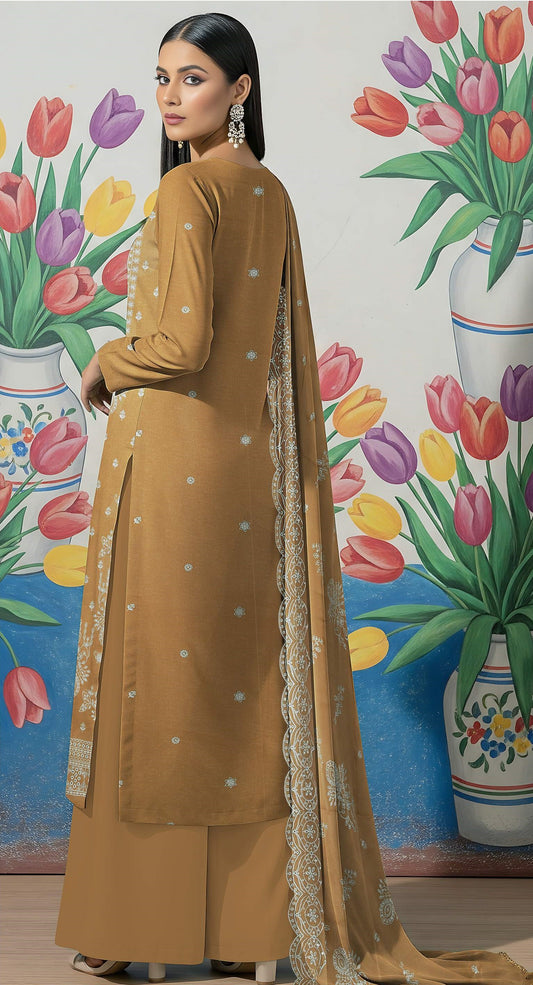 Noir Embroidered 3 Piece Karandi 05